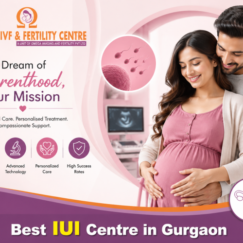 Modern Solutions for a Successful Fertility Journey